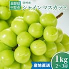2026年発送　【信州産】シャインマスカット1kg