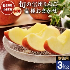 ご贈答向け 信州りんご特秀3kg