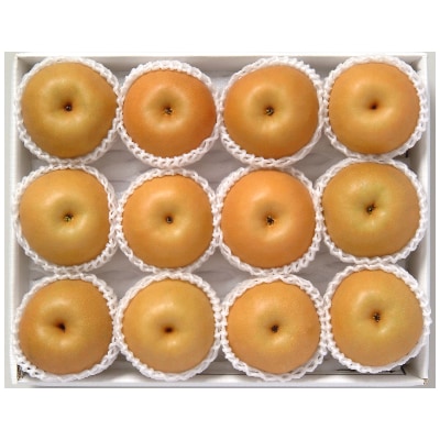 【信州産】南水なし5kg