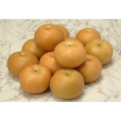 【信州産】南水なし5kg