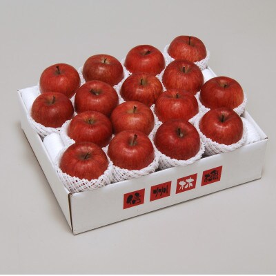 長野県北部 ご贈答品【特秀】サンふじ 約5kg(12-18玉)
