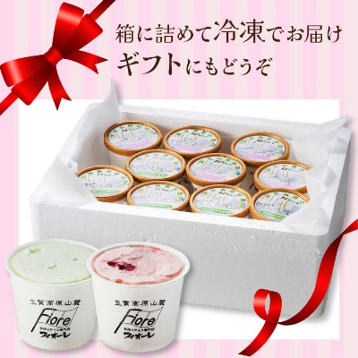 信州なかの　手作りジェラート2種セット(10個入り)