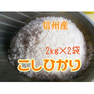 【23年1月より順次発送】信州産コシヒカリ2kg×2袋(計4kg) 精米