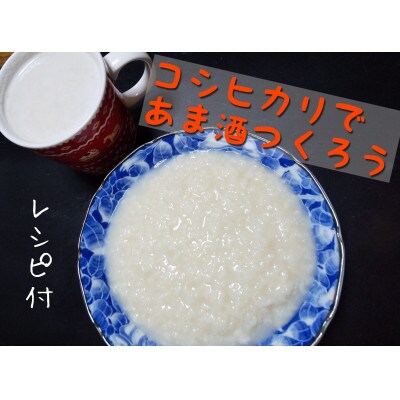【23年1月より順次発送】信州産コシヒカリ2kg×2袋(計4kg) 精米
