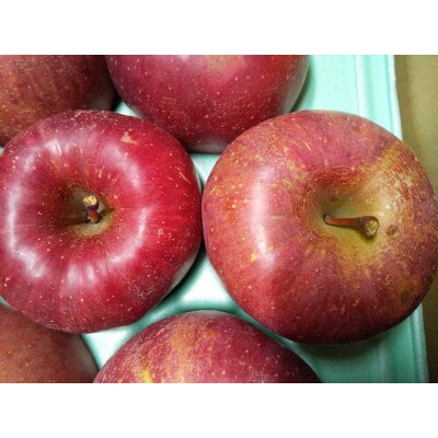 【23年1月より順次発送】信州産サンふじ 優(訳あり)7~12玉(約2.8kg)