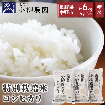 小柳農園の特別栽培米コシヒカリ6kg(2kg×3) | 長野県中野市