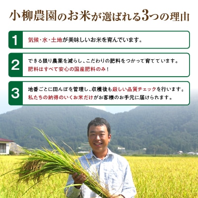 小柳農園の特別栽培米コシヒカリ6kg(2kg×3)