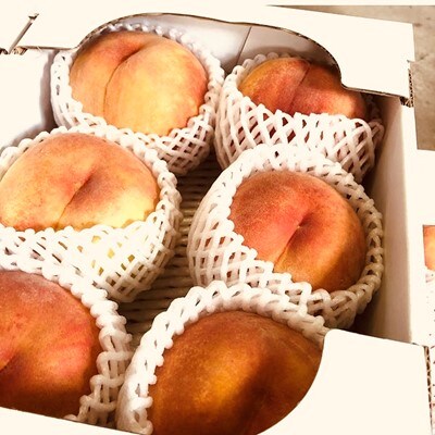 【2022年発送】黄金桃　約3kg