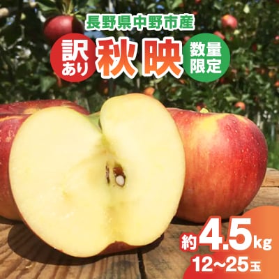 【2025年発送】【数量限定!】秋映 訳あり  約4.5kg(12-25玉) 中野市産 信州りんご