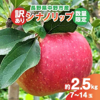 【2025年発送】【数量限定!】シナノリップ 訳あり 約2.5kg(7-14玉) 中野市産