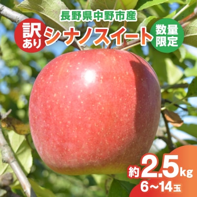 【2025年発送】【数量限定!】シナノスイート 訳あり 約2.5kg 6-14玉 中野市産