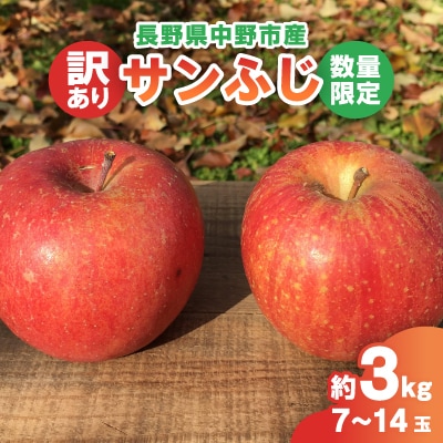 【2024年産受付開始!数量限定】サンふじ 訳あり 約3kg 7-14玉 中野市産