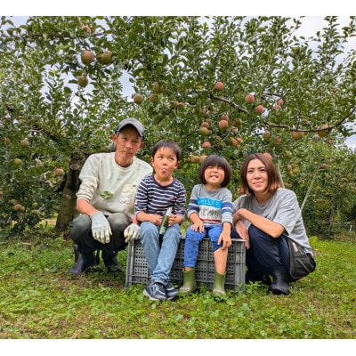 <信州中野まつじるし農園>完熟ふじ家庭用 約10kg