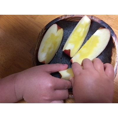 <信州中野まつじるし農園>完熟ふじ家庭用 約10kg