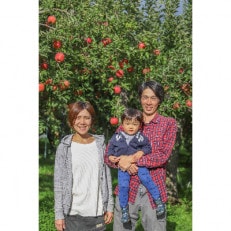 <信州中野まつじるし農園>完熟ふじ家庭用 約5kg
