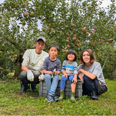 <信州中野まつじるし農園>完熟ふじ家庭用 約5kg
