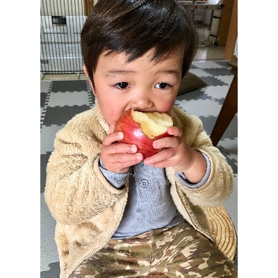 〈信州中野まつじるし農園〉皮ごとまるかじり!ちびっこ完熟ふじ家庭用約10kg