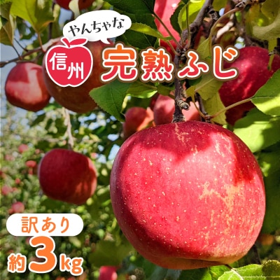 〈信州中野まつじるし農園〉やんちゃな訳あり完熟ふじ 約3kg