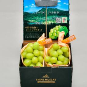 果物 フルーツ 人気特産品おすすめランキング 週間 ふるさと納税サイト さとふる 果物 フルーツ 人気特産品おすすめランキング 週間 ふるさと納税サイト さとふる