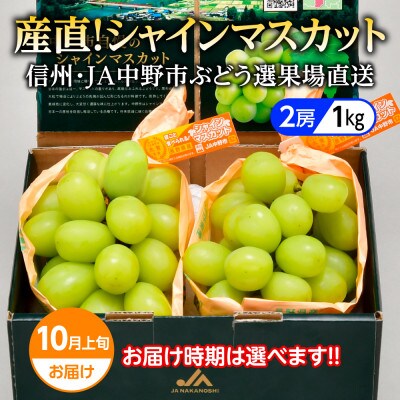 2022年10月上旬お届け!時期を選んで先行受付JA中野市ぶどう部会旬のシャインマスカット1kg以上