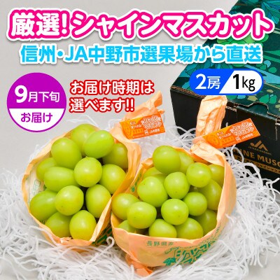 22年9月下旬お届け 長野県 Ja中野市ぶどう部会より産直 旬のシャインマスカット1kg以上 お礼品詳細 ふるさと納税なら さとふる
