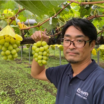 2023年10月中旬発送!長野県JA中野市ぶどう部会 旬真っ盛りのシャインマスカット1kg以上