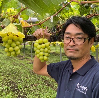 2023年10月下旬~11月上旬発送【完熟シャイン(R)】JA中野市ぶどう部会産直品1kg以上