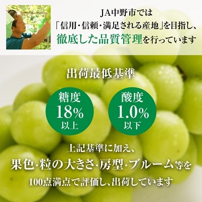 【2025年発送】シャインマスカット2房1kg以上　JA中野市から直送