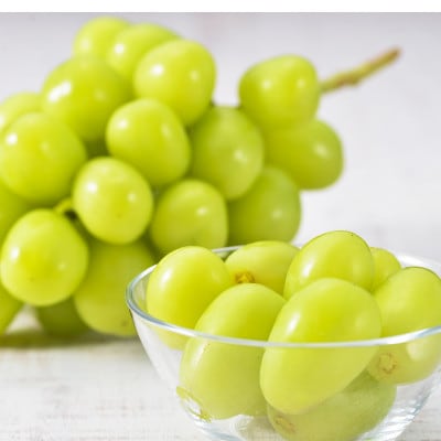 JA中野市だけの登録商標【完熟シャイン(R)1kg以上】2023年10月下旬~11月上旬産地直送!