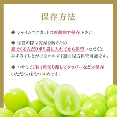 【2025年発送】シャインマスカット2房1kg以上　JA中野市から直送