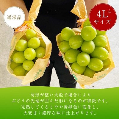 7月中旬~8月上旬お届け JA中野市ぶどう部会産地直送 真夏のシャインマスカット・ハウス栽培4L大粒