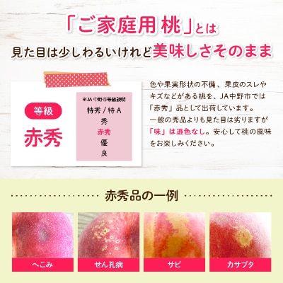【2025年発送】JA中野市直送!ご家庭用　訳あり『桃』2.1kg以上(6～8玉)