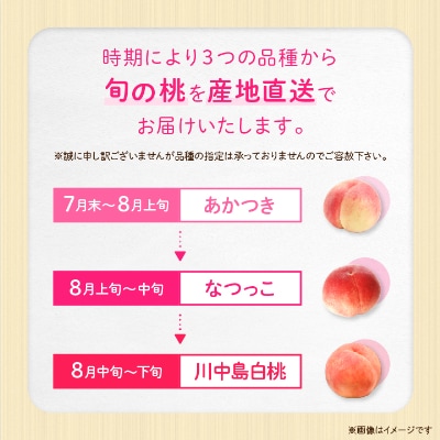 【2025年発送】JA中野市直送!ご家庭用　訳あり『桃』2.1kg以上(6～8玉)