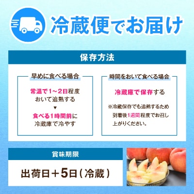 【2025年発送】JA中野市直送!ご家庭用　訳あり『桃』2.1kg以上(6～8玉)