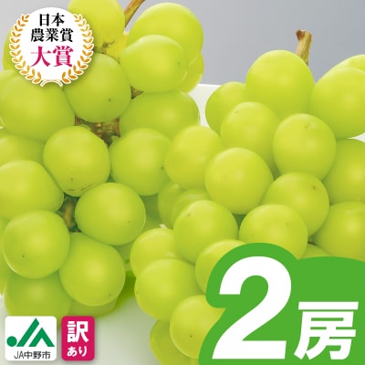 【2026年発送】訳ありシャインマスカット2房1kg以上　JA中野市から産直