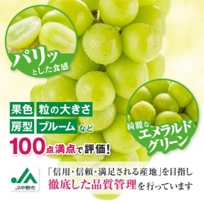 【2026年発送】訳ありシャインマスカット2房1kg以上　JA中野市から産直