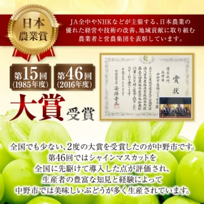 【2026年発送】訳ありシャインマスカット2房1kg以上　JA中野市から産直