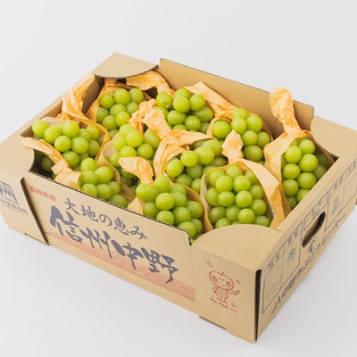 【2026年発送】【訳あり】JA中野市のシャインマスカット　約5kg(9房～10房)