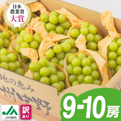【2026年発送】【訳あり】JA中野市のシャインマスカット　約5kg(9房～10房)