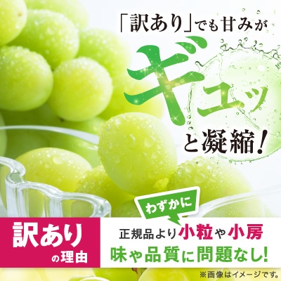 【2026年発送】【訳あり】JA中野市のシャインマスカット　約5kg(9房～10房)