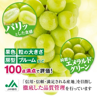 【2026年発送】【訳あり】JA中野市のシャインマスカット　約5kg(9房～10房)