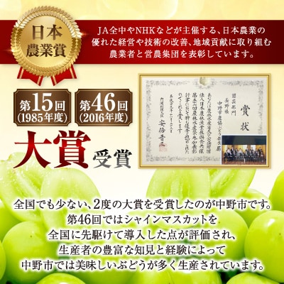 【2026年発送】【訳あり】JA中野市のシャインマスカット　約5kg(9房～10房)