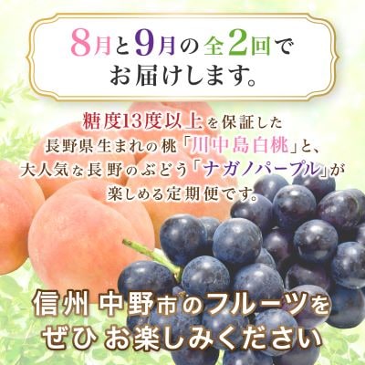 【発送月固定定期便】JA中野市　糖度13度保証の桃2.1kg以上とナガノパープル800g以上全2回