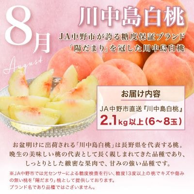 【発送月固定定期便】JA中野市　糖度13度保証の桃2.1kg以上とナガノパープル800g以上全2回