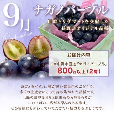 【発送月固定定期便】JA中野市　糖度13度保証の桃2.1kg以上とナガノパープル800g以上全2回