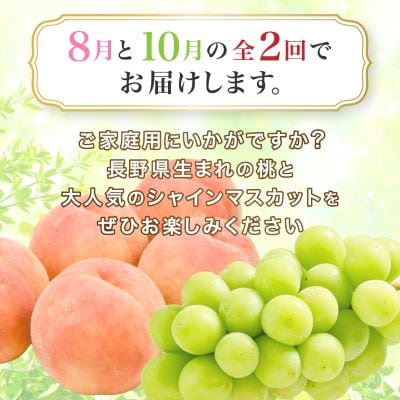 【発送月固定定期便】訳あり桃2.1kg(8月)・訳ありシャインマスカット1.3kg(10月)全2回