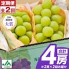【発送月固定定期便】〈2025年発送〉シャインマスカット2房1kg以上　JA中野市から直送全2回