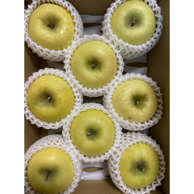シャキシャキ!サクサク!シナノゴールド贈答用 約3kg