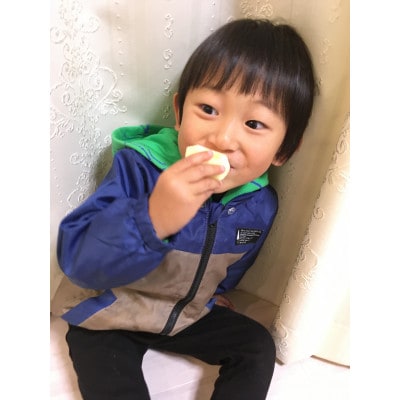 シャキシャキ!サクサク!シナノゴールド贈答用  約10kg