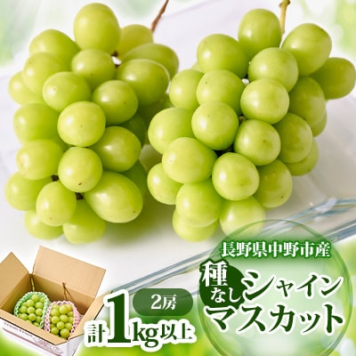 【2025年発送】長野県 中野市産 シャインマスカット2房(1.0kg以上)